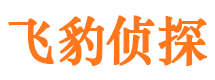 元氏市侦探调查公司